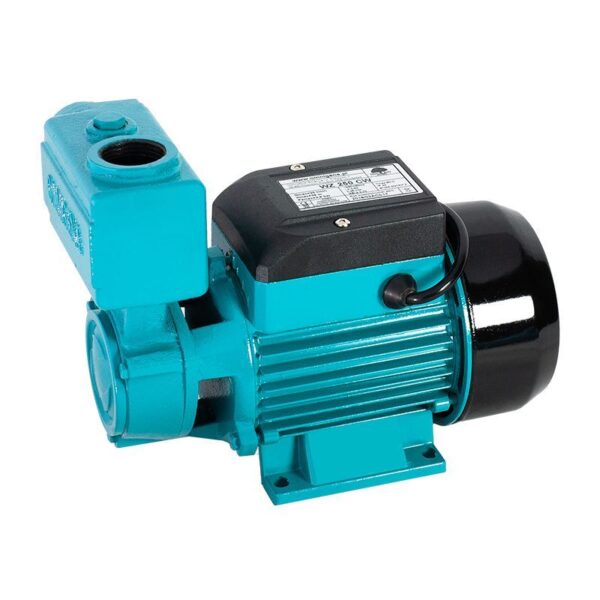 WZ 250 CW pompa hydroforowa do ciepłej wody 230V